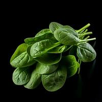 product shots of photo of Spinach with no backgro