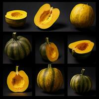 product shots of photo of acorn squash with no ba