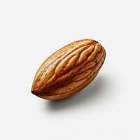 product shots of photo of almond with no backgrou