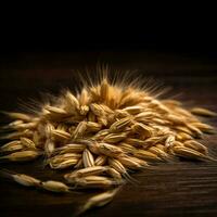 product shots of photo of barley with no backgrou