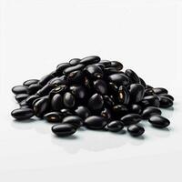 product shots of photo of black beans with no bac