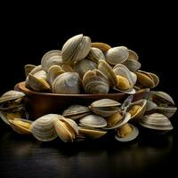 product shots of photo of clams with no backgroun