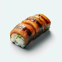 product shots of photo of eel sushi with no backg