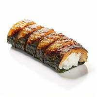 product shots of photo of eel sushi with no backg