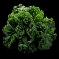 product shots of photo of kale with no background
