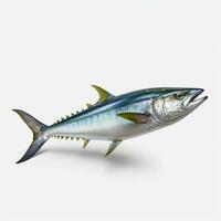 product shots of photo of kingfish with no backgr