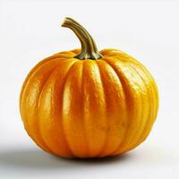 pumpking with white background high quality ultra photo