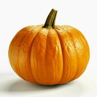 pumpking with white background high quality ultra photo