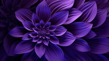 purple background high quality photo