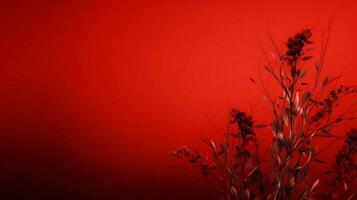 red background high quality photo