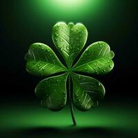 shamrock high quality 4k ultra hd hdr photo