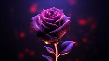 simple vectorial rose wallpaper black background photo