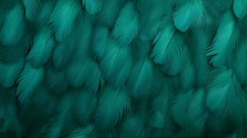 teal background high quality photo