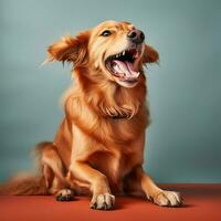 A cheerful dog wagging its tail uncontrollably photo