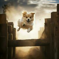 A graceful dog leaping over obstacles photo