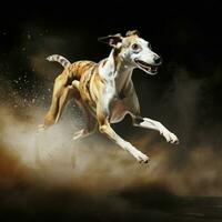 A graceful greyhound sprinting at full speed photo