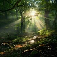 un tranquilo bosque escena con rayos de luz de sol filtración th foto