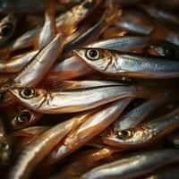 Anchovies high quality 4k hdr photo