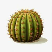 Barrel Cactus 2d cartoon illustraton on white background h photo