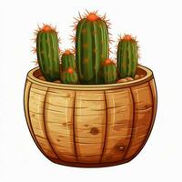 Barrel Cactus 2d cartoon illustraton on white background h photo