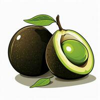 Black Sapote 2d cartoon illustraton on white background hi photo