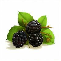 Blackberries 2d vector illustration cartoon in white backg photo