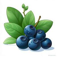 Blueberries 2d vector illustration cartoon in white backgr photo