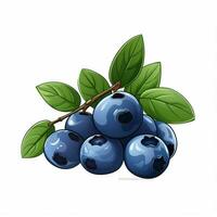 Blueberries 2d vector illustration cartoon in white backgr photo