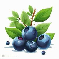 Blueberries 2d vector illustration cartoon in white backgr photo