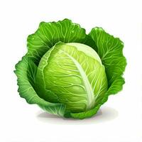 Cabbage 2d vector illustration cartoon in white background photo