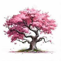 Cherry blossom 2d cartoon illustraton on white background photo