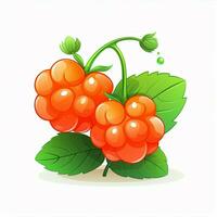 Cloudberry 2d cartoon illustraton on white background high photo