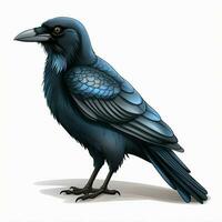 Crow 2d cartoon illustraton on white background high quali photo