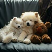 Cuddly creatures with soft fur begging for cuddle sessions photo