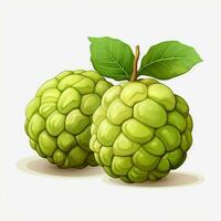 Custard apple 2d cartoon illustraton on white background h photo