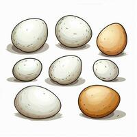 Eggs 2d vector illustration cartoon in white background hi photo