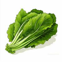 Escarole 2d vector illustration cartoon in white backgroun photo