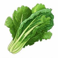 Escarole 2d vector illustration cartoon in white backgroun photo