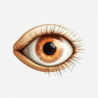 Eye 2d cartoon illustraton on white background high quality photo