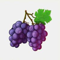 Grapes 2d vector illustration cartoon in white background photo