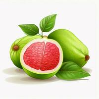 Guava 2d vector illustration cartoon in white background h photo