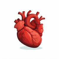 Heart 2d cartoon vector illustration on white background h photo