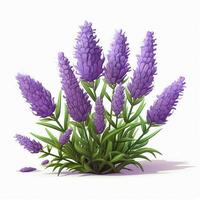 Lavender 2d cartoon illustraton on white background high q photo