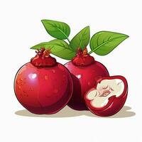 Mangosteen 2d vector illustration cartoon in white background photo