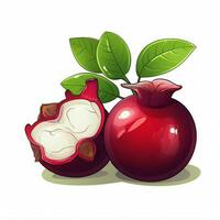 Mangosteen 2d vector illustration cartoon in white background photo