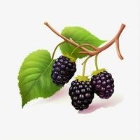 Mulberry 2d cartoon illustraton on white background high q photo