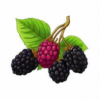 Mulberry 2d cartoon vector illustration on white backgroun photo