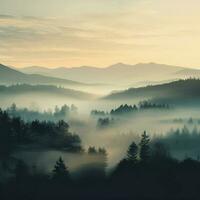 Muted colors of a misty morning landscape photo