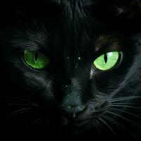 misterioso negro gato con perforación verde ojos foto