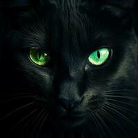 Mysterious black cat with piercing green eyes photo